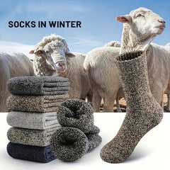 5 Pairs Men's Thick Wool Blend Socks - Cozy Mid-Calf Winter Socks in Solid Colors (Dark Gray, Light Blue, Brown, Navy Blue, Beige, White), Soft & Warm for Casual or Cold Weather, Cozy Footwear | Giftready Packaging | Quality